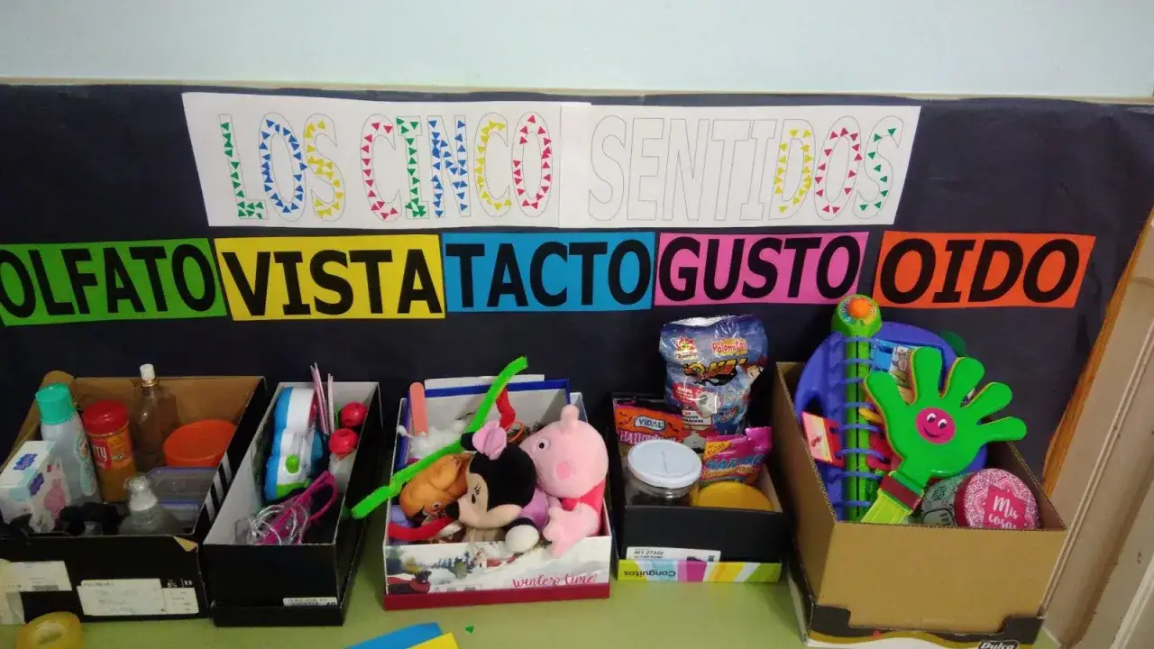 Cajas tem&aacute;ticas para la 