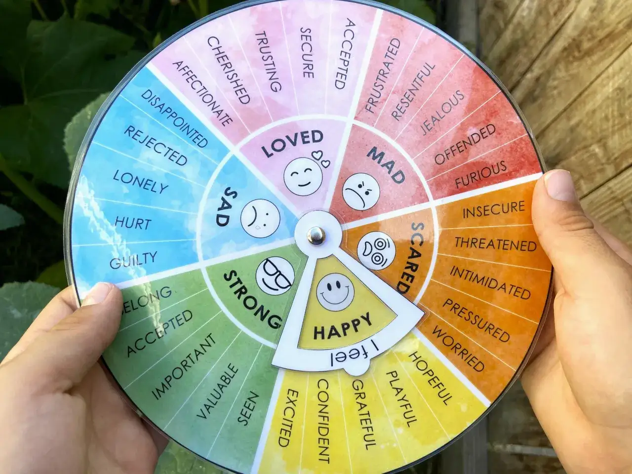 La rueda de las emociones muestra diferentes sentimientos, desde 